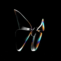animation